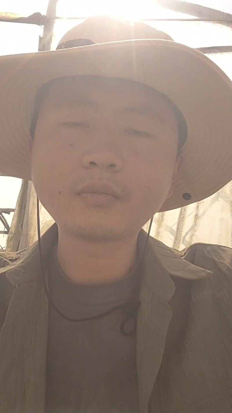精品娃娃菜，产地直供，一手货源，可视频看货