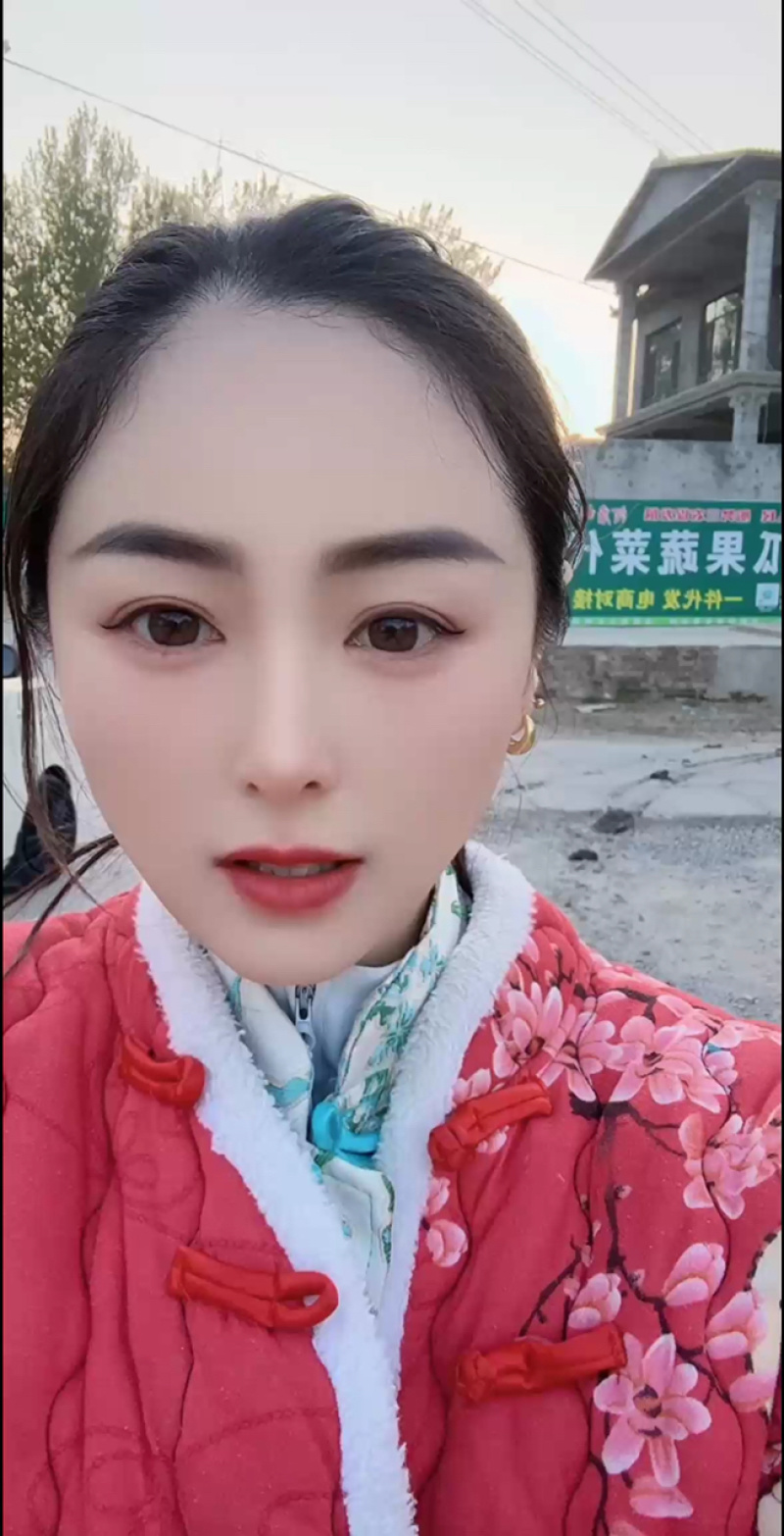 硬粉西红柿大量上市，产地直发，品质保证，服务周到