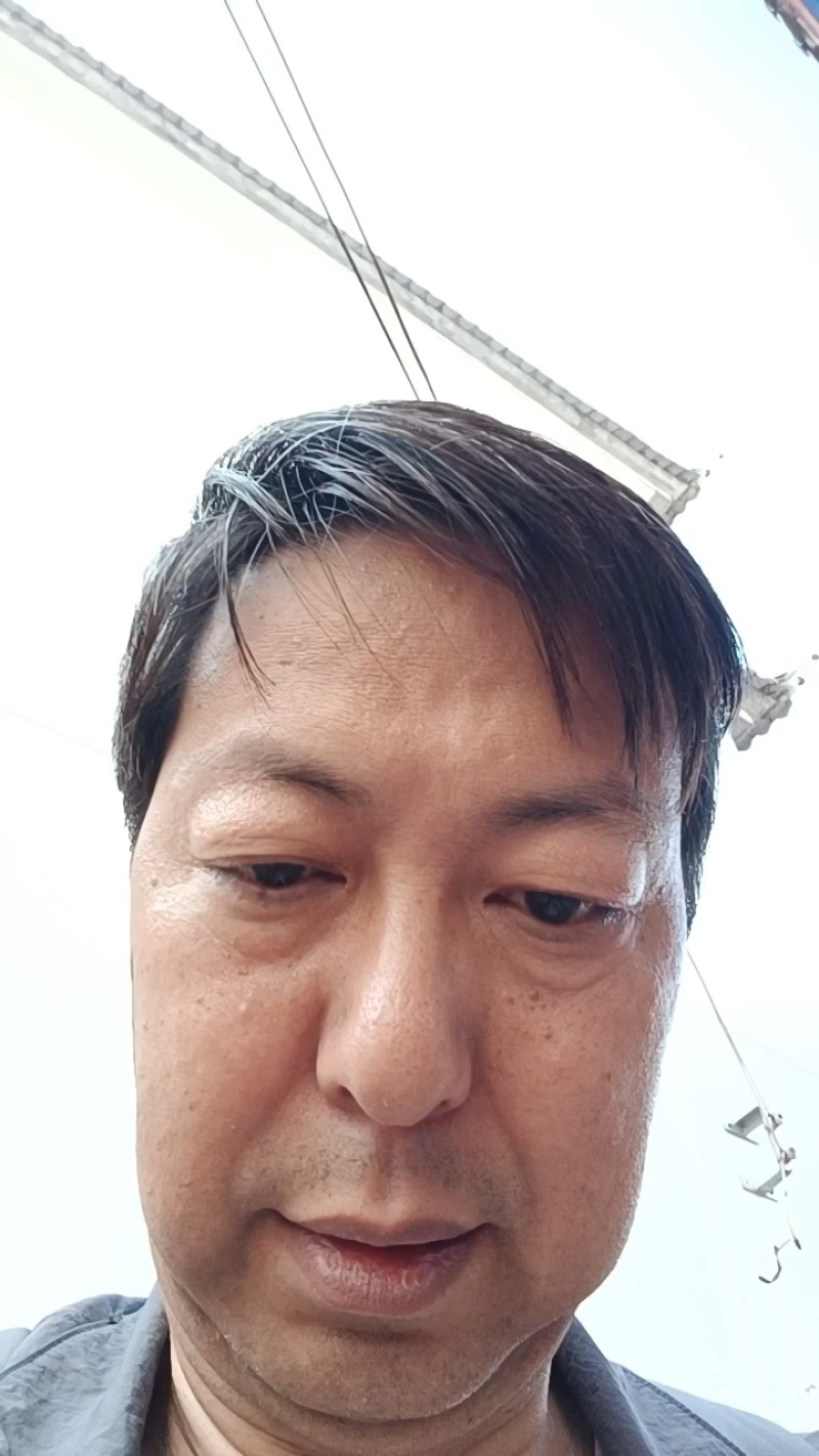 巍山露天鲜贡菜统货1200亩基地直供—市场货