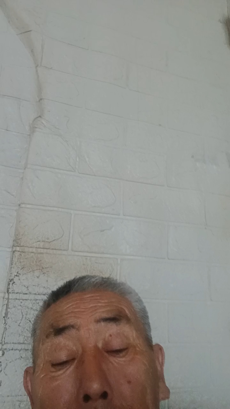 酿酒优质高粮。质良上成