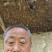 山东聊城占地桃树果树基地，价格低，绿化苗木大量现货