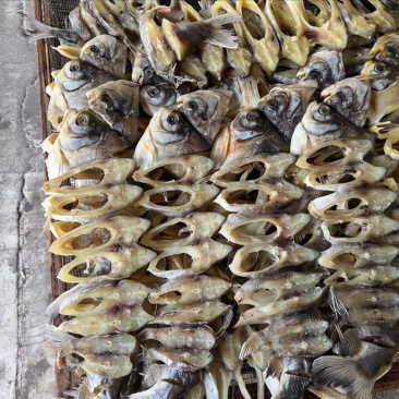 红鲳鱼干地摊电商批发红鲳鱼干鱼干干鱼