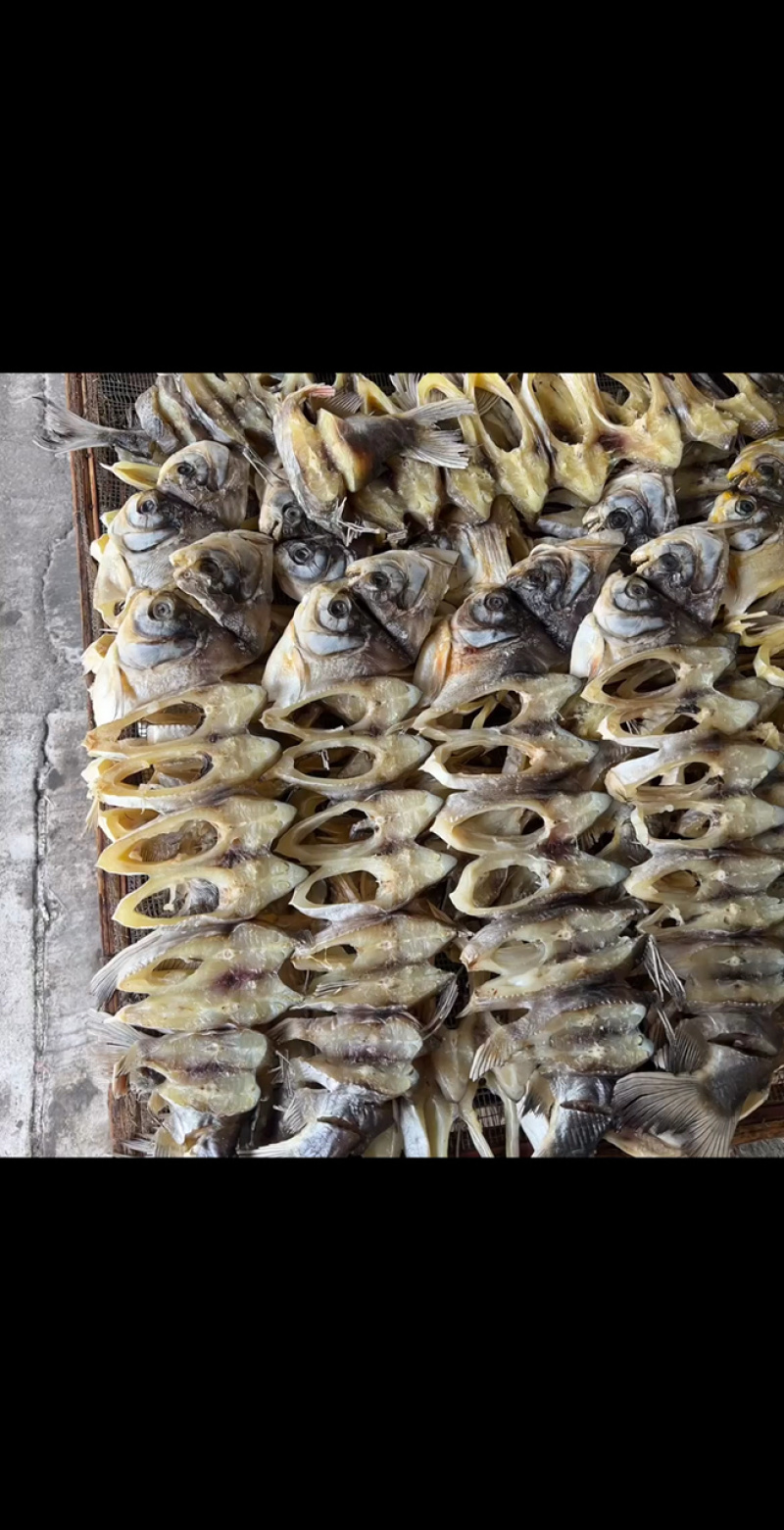 红鲳鱼干地摊电商批发红鲳鱼干鱼干干鱼