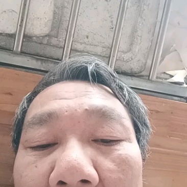 白芨