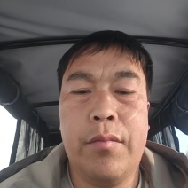 河北本地精品大葱大量上市了需要的老联系我