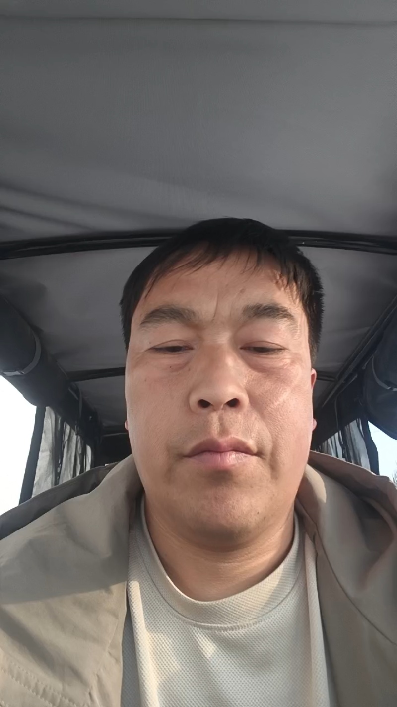 河北本地精品大葱大量上市了需要的老联系我