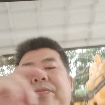 农家土蜂蜜