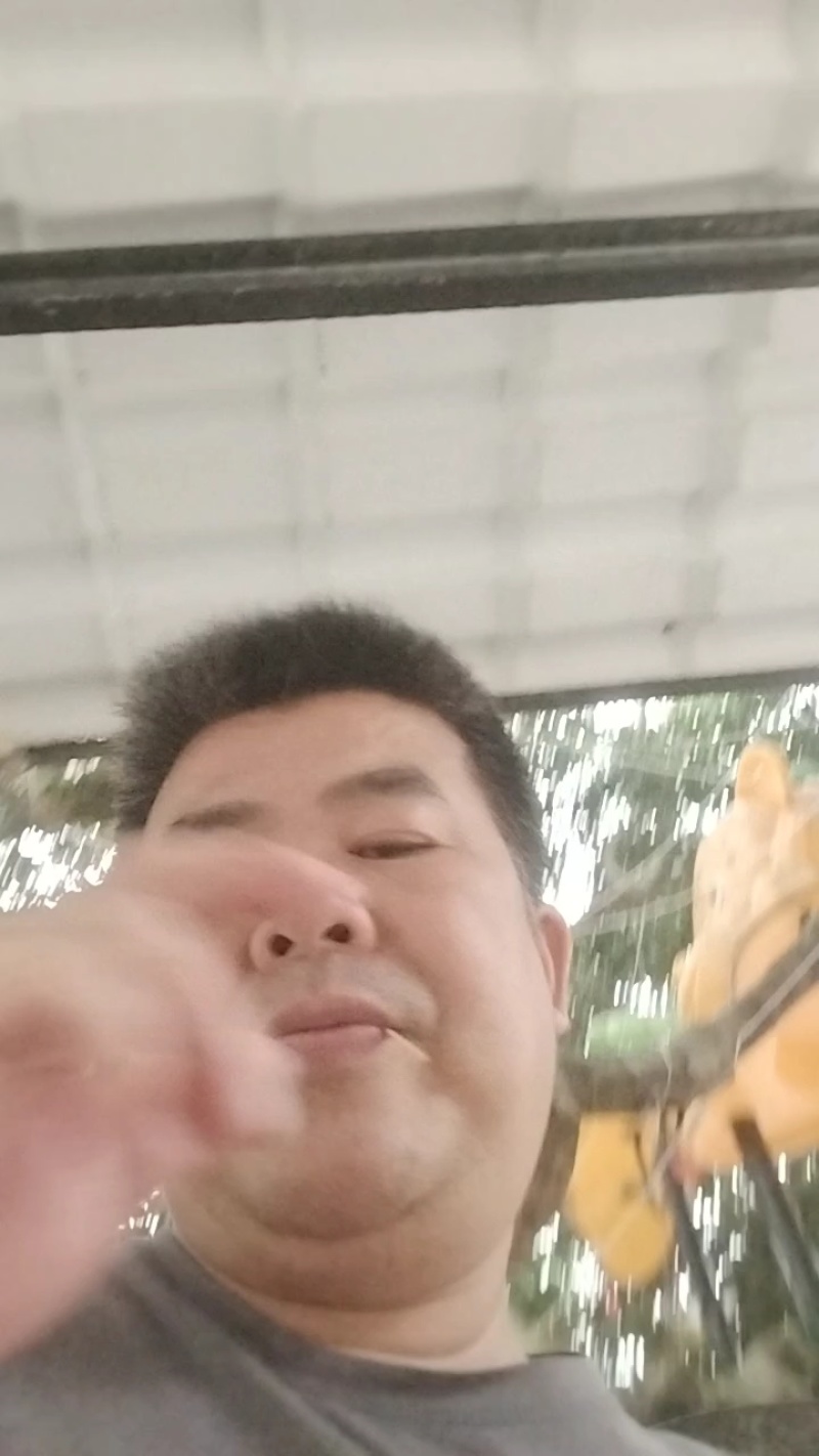 农家土蜂蜜