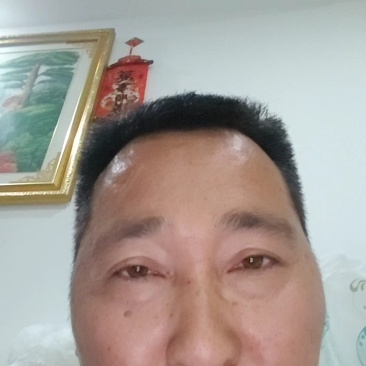 重庆纽荷尔脐橙，大量上市，品种多，规格全，欢迎联系