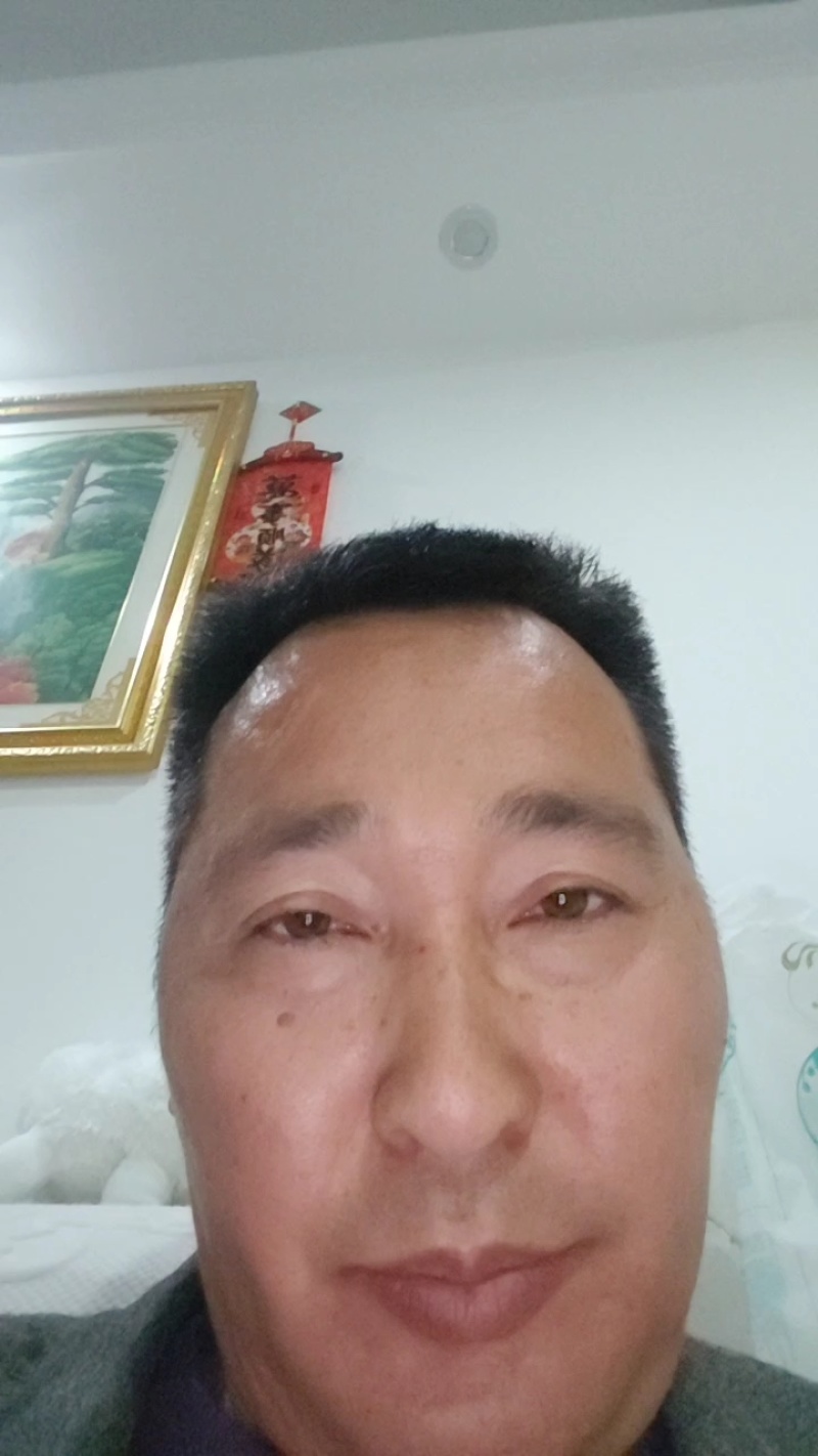 重庆纽荷尔脐橙，大量上市，品种多，规格全，欢迎联系