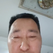 重庆奉节福本脐橙，货原充足，无干水，一手货源，没花皮