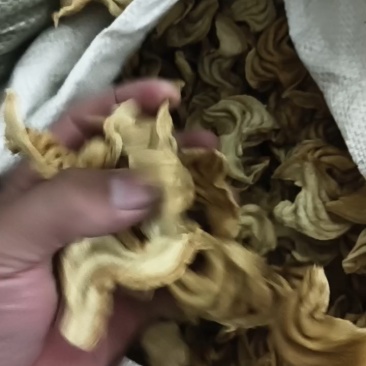 正宗大豆耳豆腐皮豆皮素鸡翅豆制品素肉人造肉腐竹素食批发