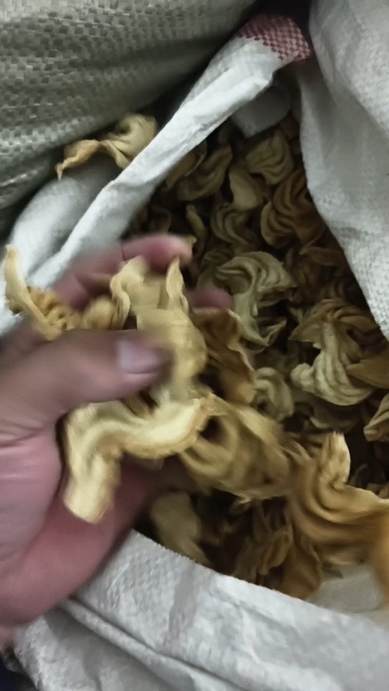 正宗大豆耳豆腐皮豆皮素鸡翅豆制品素肉人造肉腐竹素食批发
