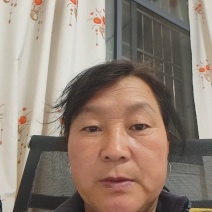秦薯五号红薯苗自家培育高代脱毒产量高成活率高货量大现场看