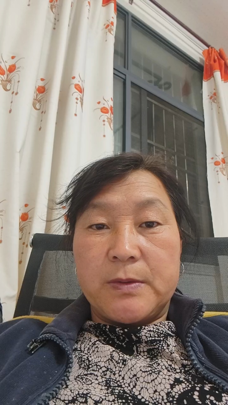 秦薯五号红薯苗自家培育高代脱毒产量高成活率高货量大现场看