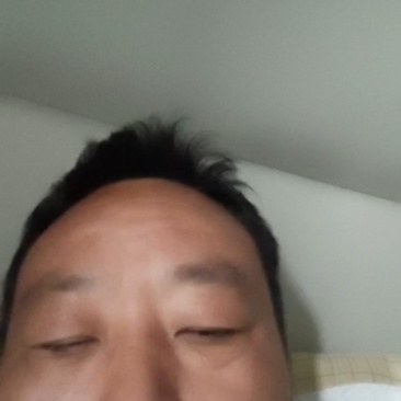 河南红根蒜苗叶青根红水洗打冷装箱全国发货欢迎采购