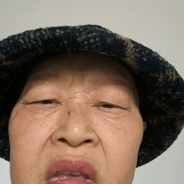通草种植基地，通草两年苗f，根系发达，我活率高，死苗补，