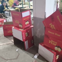 【蒲城早酥梨】陕西酥梨青梨青把梨大量上市现货供应