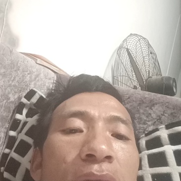 六马蜂糖李，