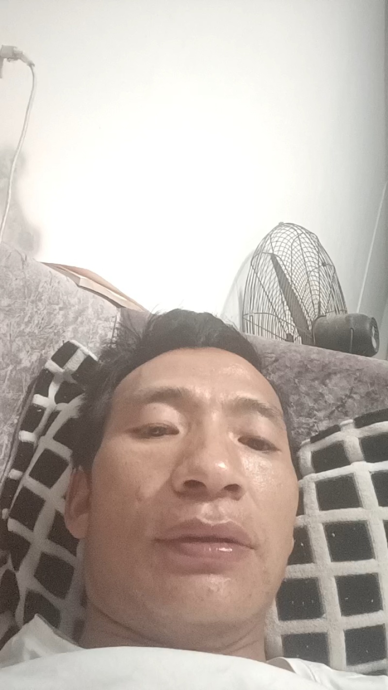 六马蜂糖李，