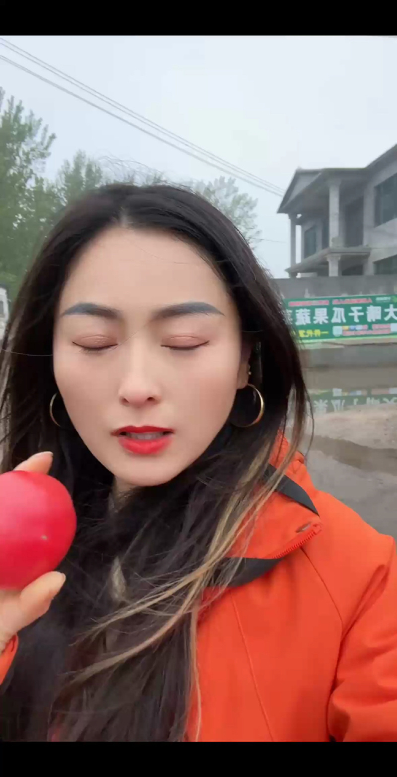 硬粉西红柿大量上市，产地直发，品质保证，服务周到