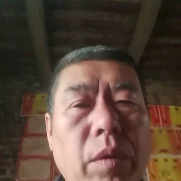 山东省聊城市莘县小黄瓜:水果黄瓜基地直供