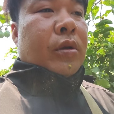 钦蜜九号黄金百香果代办