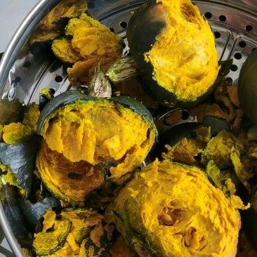 精品惠和1号贝贝南瓜大棚吊挂