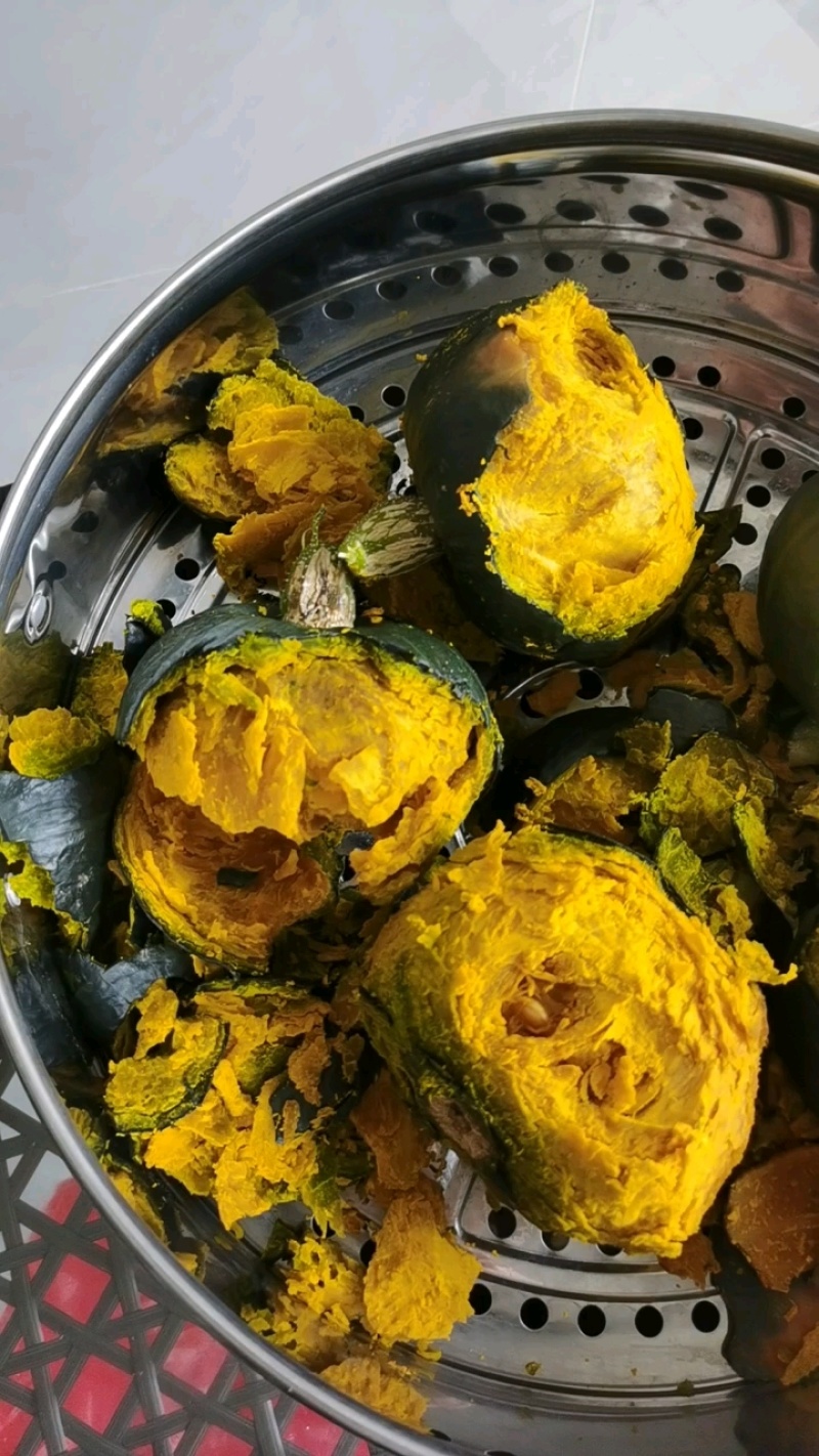 精品惠和1号贝贝南瓜大棚吊挂