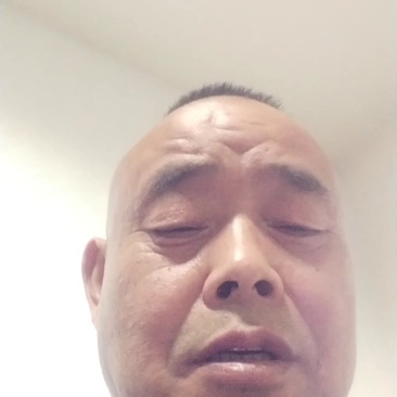 羽衣甘蓝鸡蛋/保质保量/欢迎来电咨询合作
