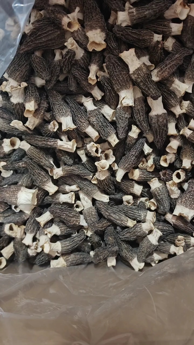 原产地自销羊肚菌干羊肚菌羊肚菌干货支持线上交易