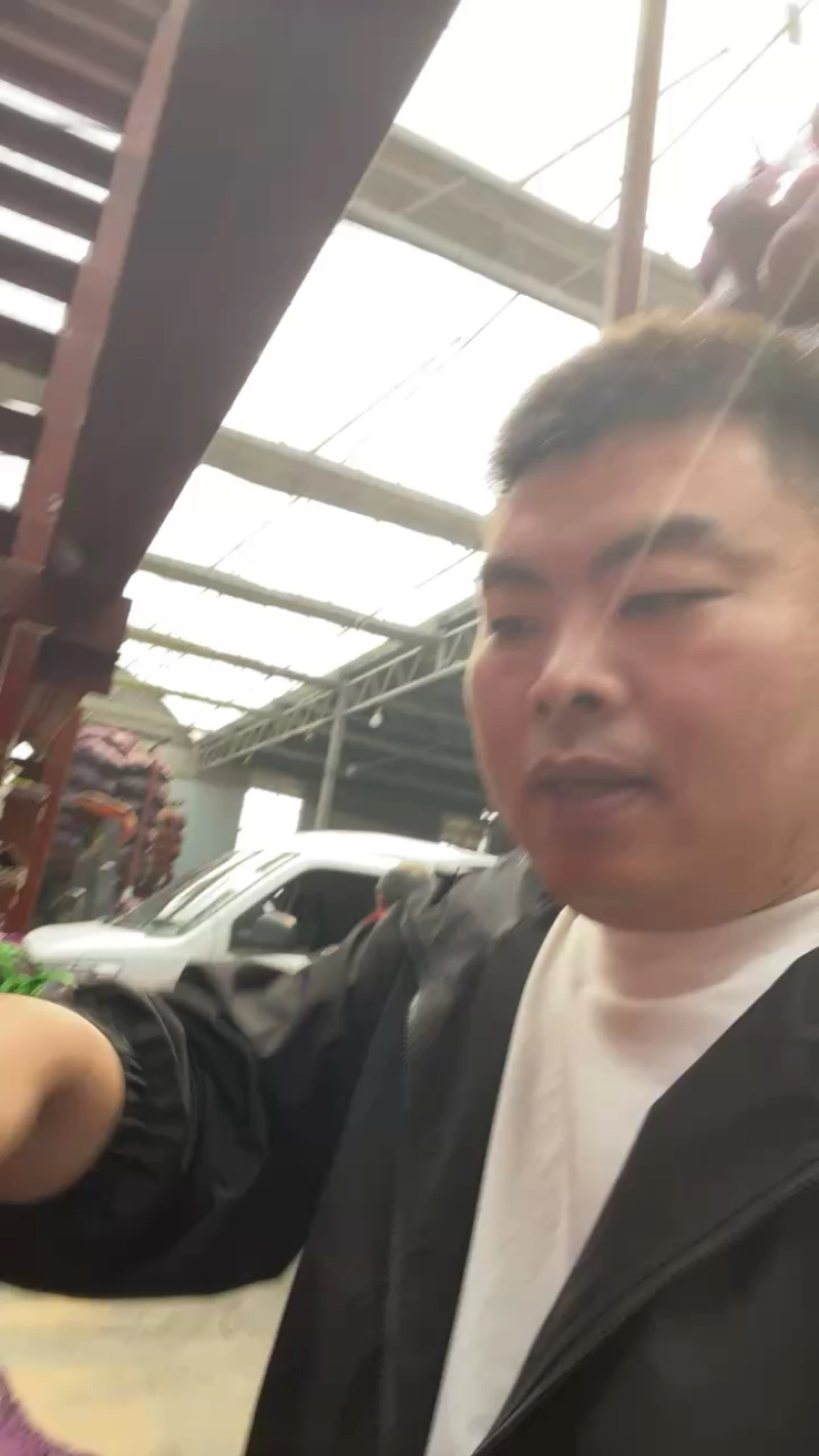 拼多多，赶集专用，高次果常年稳定供应