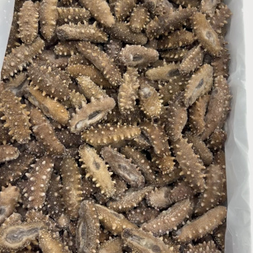 20头左右的大连鲜食口感的海参