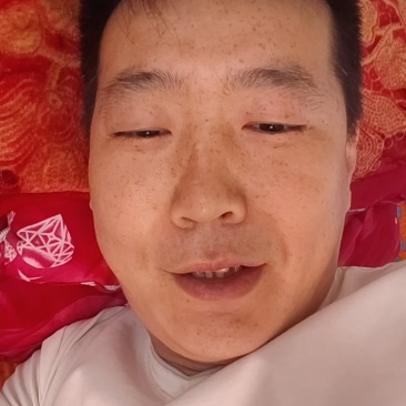 河北芹菜产地直达一手货源长期有货量大从优