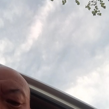 山西临猗（阳光玫瑰）葡萄即将大量上市，雨棚货，产地直销！