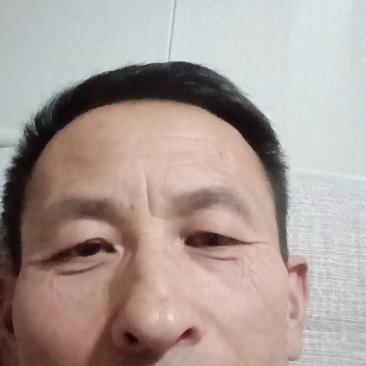 精品白条鸭厂家直发一手货源量大价优可视频看货欢迎致电