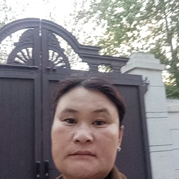 紫穗槐/河南商丘民权基地种植/对接全国采购商