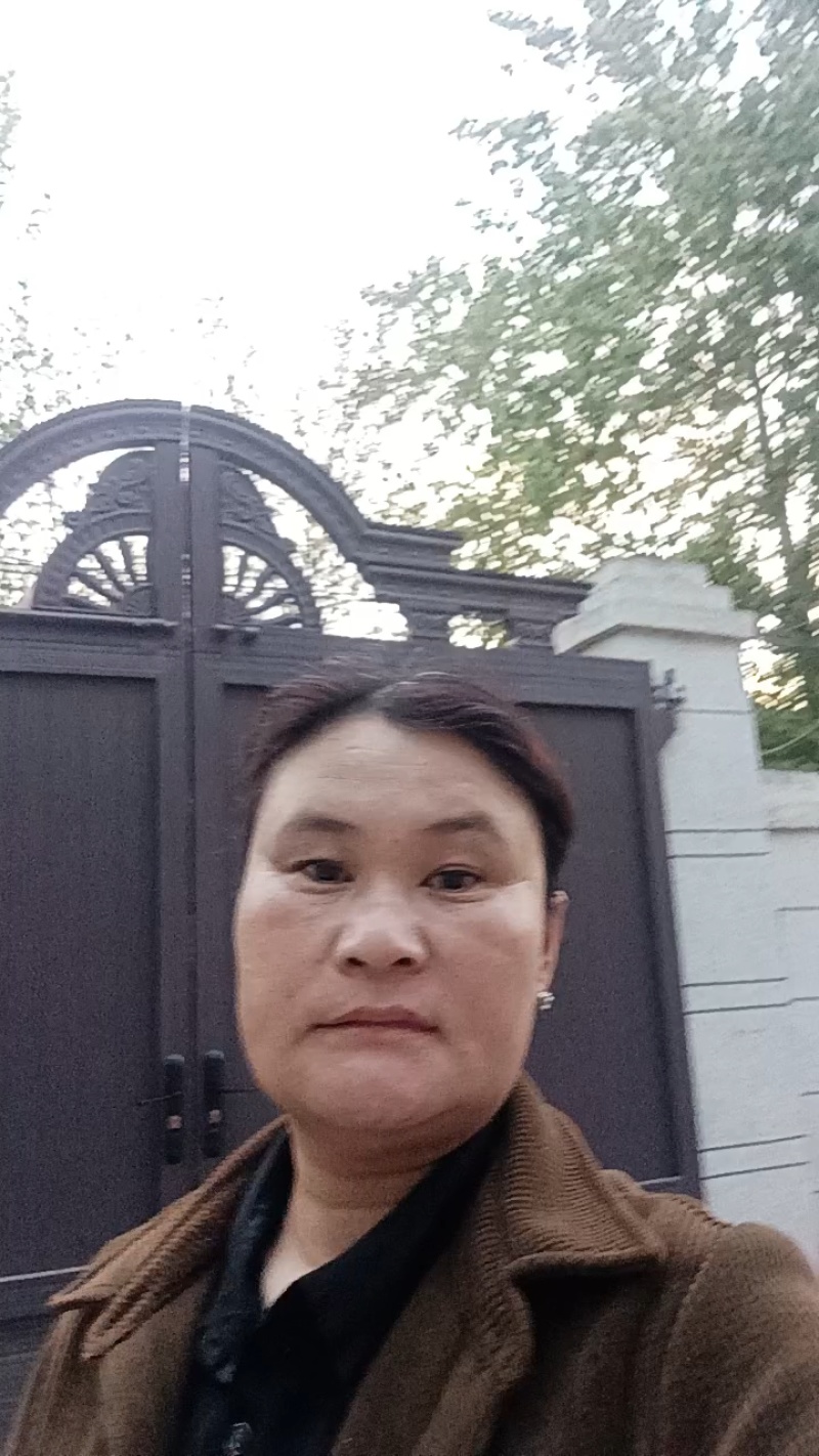 紫穗槐/河南商丘民权基地种植/对接全国采购商