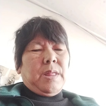 脱毒早丰一号红薯地瓜苗