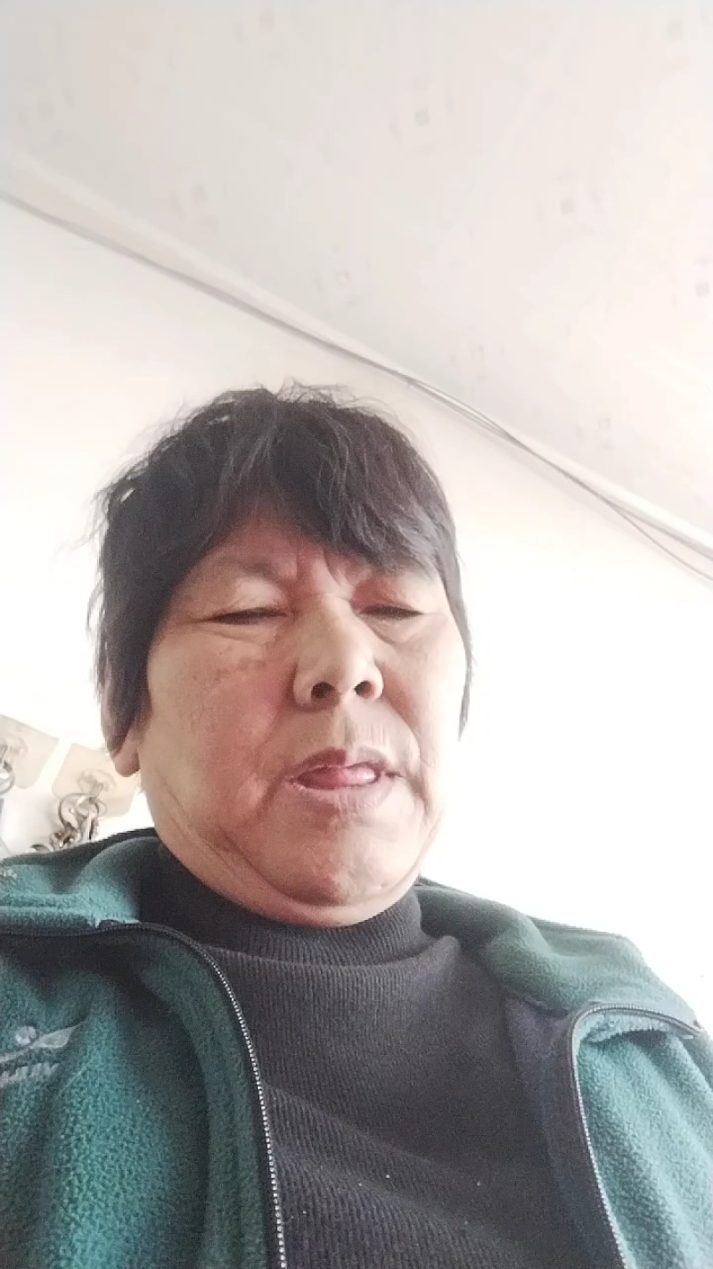 脱毒早丰一号红薯地瓜苗