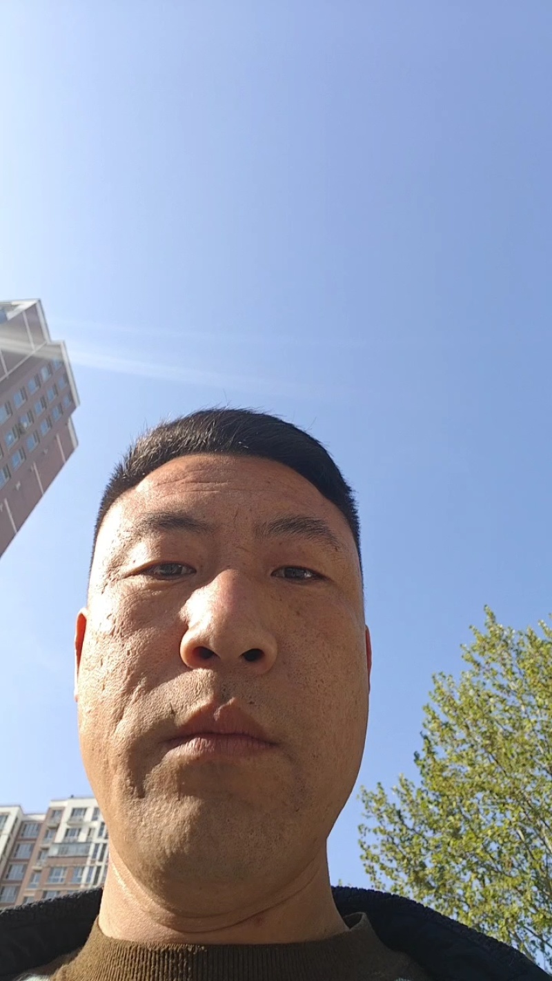 《新梨七号》辛集市翠梨/各种品种梨都有/欢迎老板来电咨询