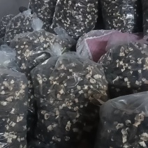 羊肚菌（精品）