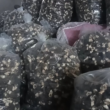 羊肚菌（精品）