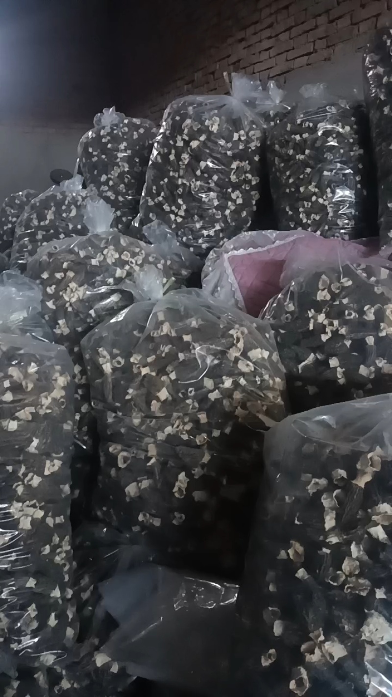 羊肚菌（精品）