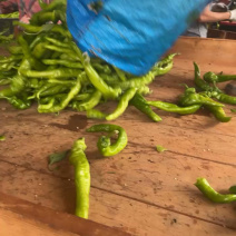 优选精品螺丝椒产地直发协助装车货源充足服务质量保证