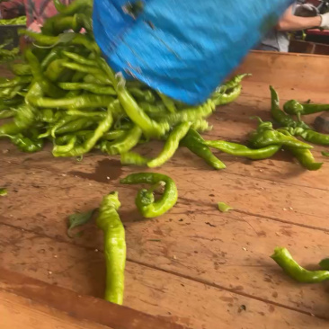 优选精品螺丝椒产地直发协助装车货源充足服务质量保证