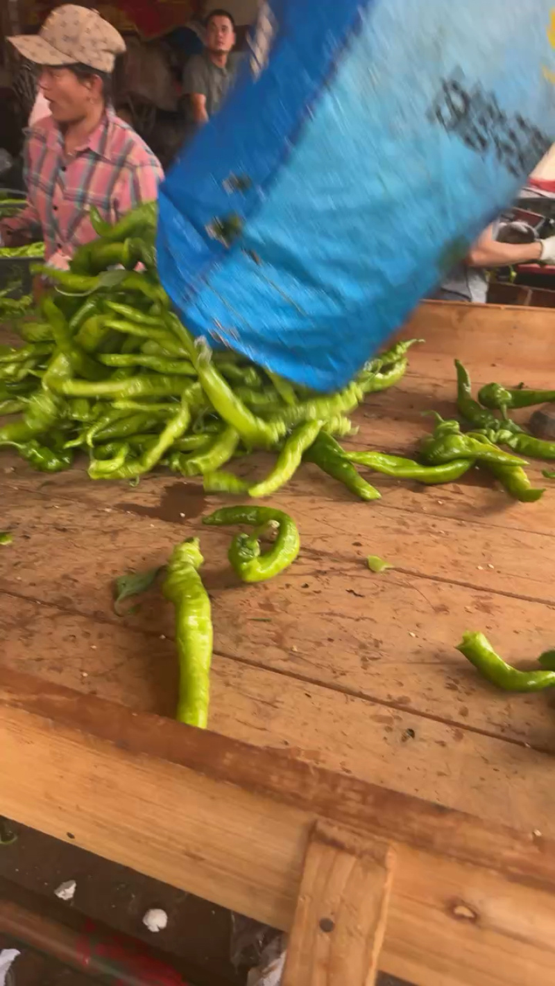 优选精品螺丝椒产地直发协助装车货源充足服务质量保证