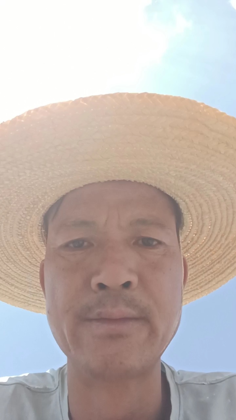 云南合作88号高原红皮黄心新鲜土豆薯片加工厂专用土豆