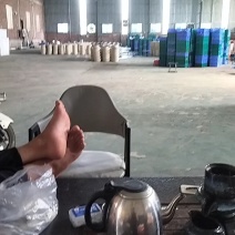 广东冰鲜竹虫/速冻鲜活竹虫/冰冻整箱高蛋白食用冷冻昆虫商