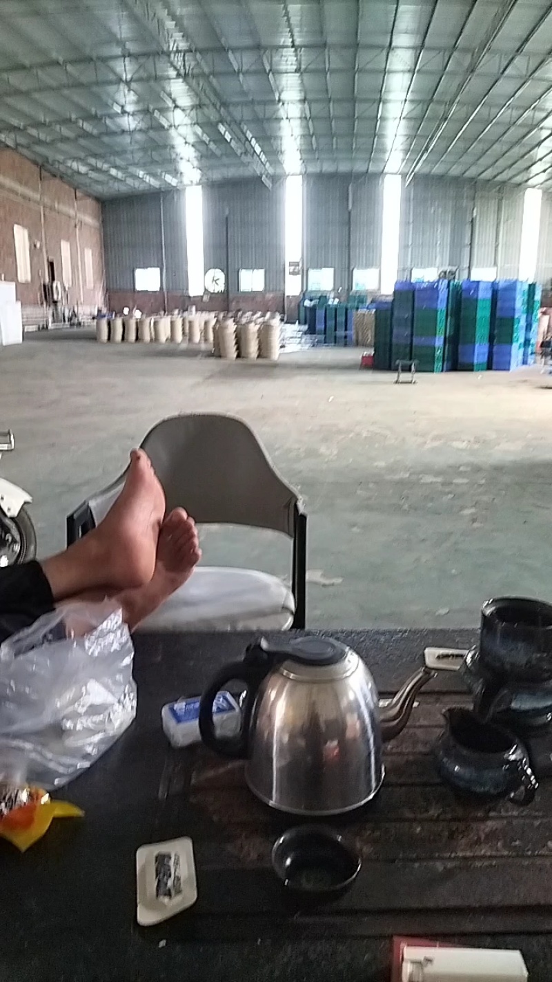 广东冰鲜竹虫/速冻鲜活竹虫/冰冻整箱高蛋白食用冷冻昆虫商